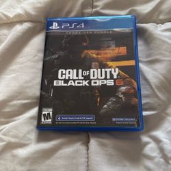 Black Ops 6 PS4