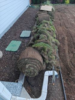 Sod in rols