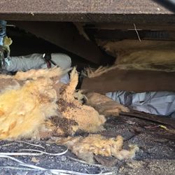Vapor Barrier And Insulation 