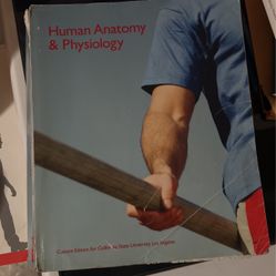 Human Anatomy And Physiology