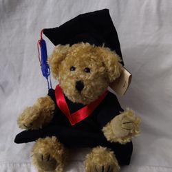 Graduation Teddy Bear 