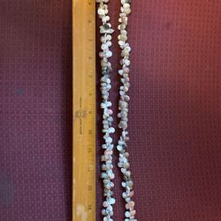 Shell Lei- Sandial Seashells 