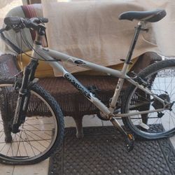 Gary Fisher Tass 26"