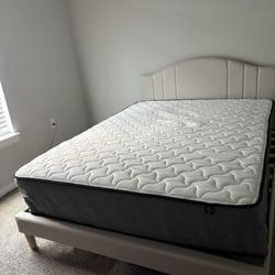 NapQueen Victoria 12" Queen, Gel Infused Memory Foam and Pocket Spring Hybrid Mattress in a Box, Adult