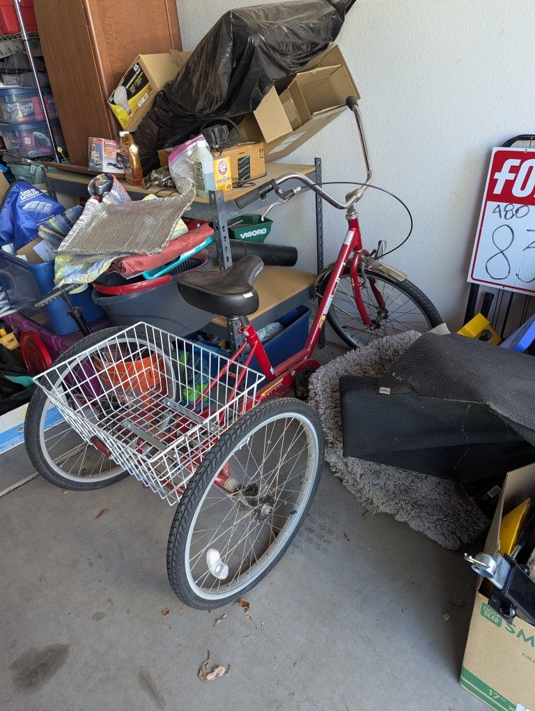Adult Trike