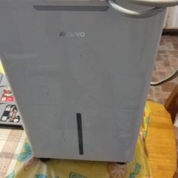 Good Condition Humidifier 