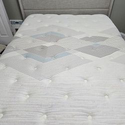 Queen Beauty Rest Mattress 