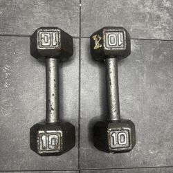 10 Pound Dumbbells 