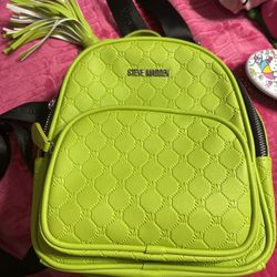 Steve Madden Green Purse