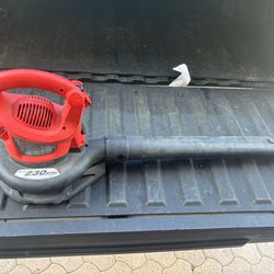 Leaf Blower/vac 