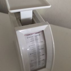 Scale
