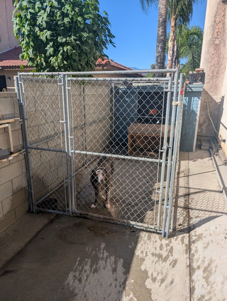 Heavy Duty Dog kennel/Dog Run