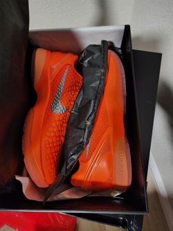 Kobe 6 Protro