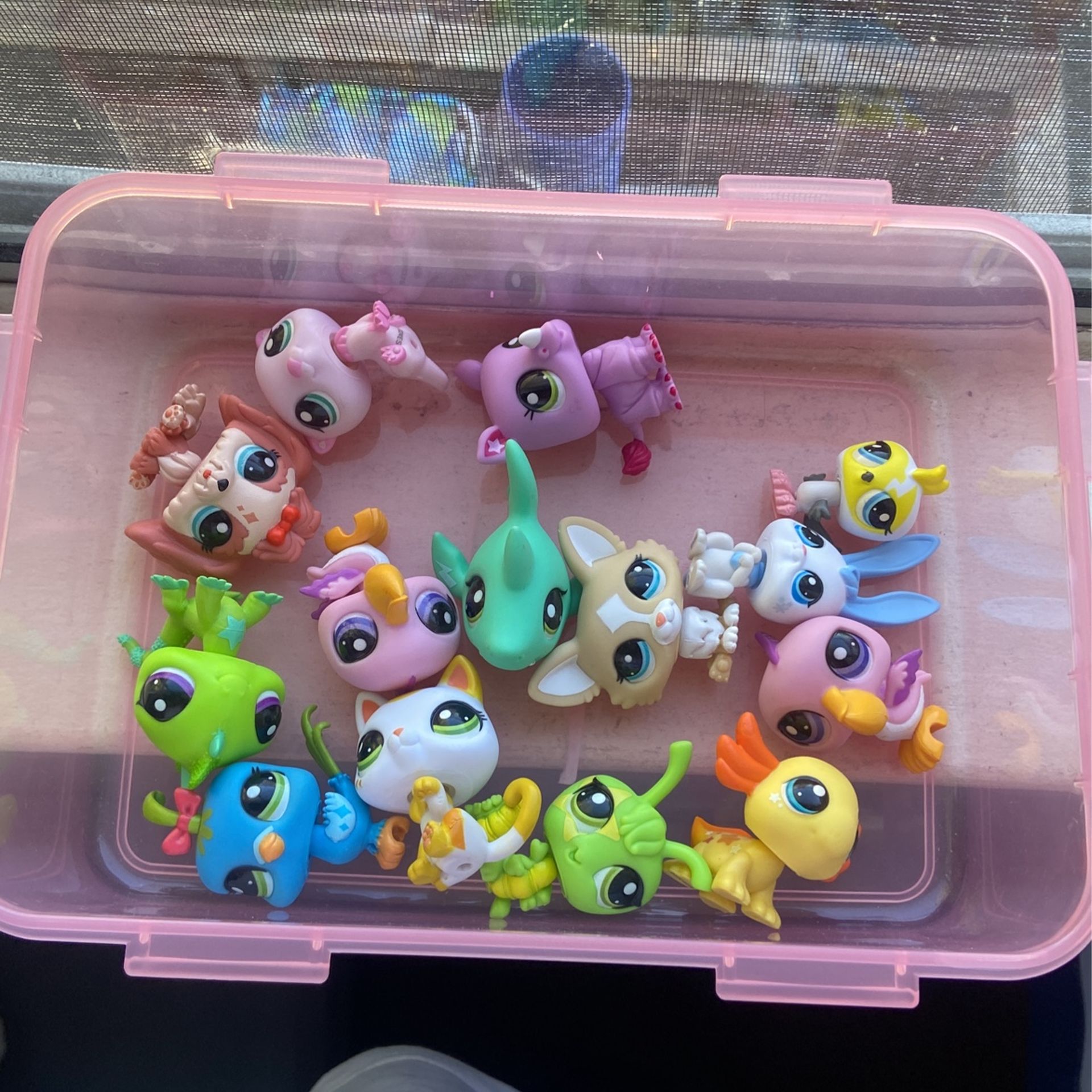 Lps Lot