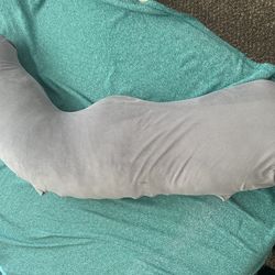 Pregnancy Pillow