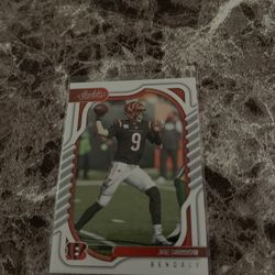 Burrow With Case
