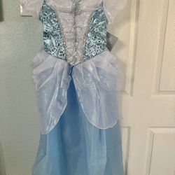 Disney Cinderella Dress New