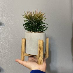 fake plant
