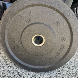 45 LB bumper Plates