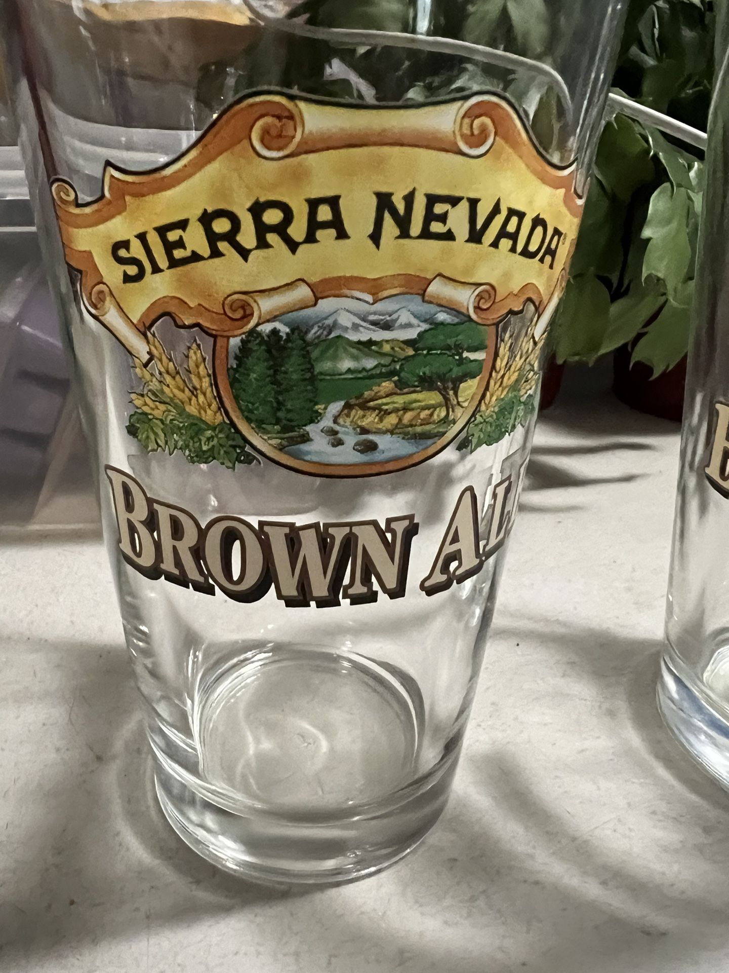Sierra Nevada Glasses