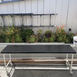  Wood Top Table  With Wheels 