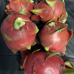 In Season NOW! Fresh Homegrown Dragon Fruits Organic -fresh Picked Daily