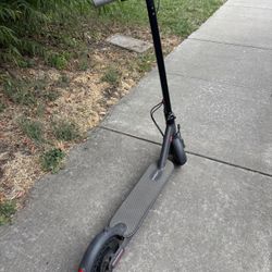 LadPed Electric Scooter