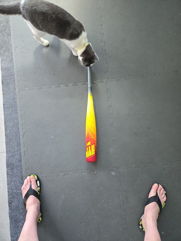 Baseball Bat
