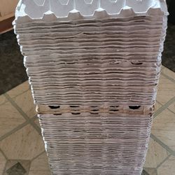 Empty Egg Carton
