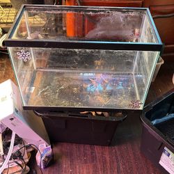 20 Gallon Tank