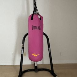 Pink Everlast Punching Bag