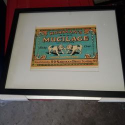 Bull Dog Playing Picture Framed