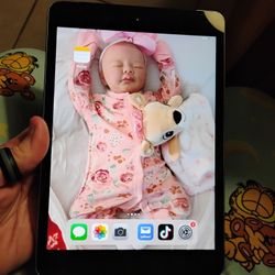 Mini iPad 