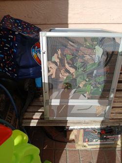 Reptile cage