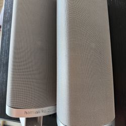 Two Harlan Larson Speakers Brand New