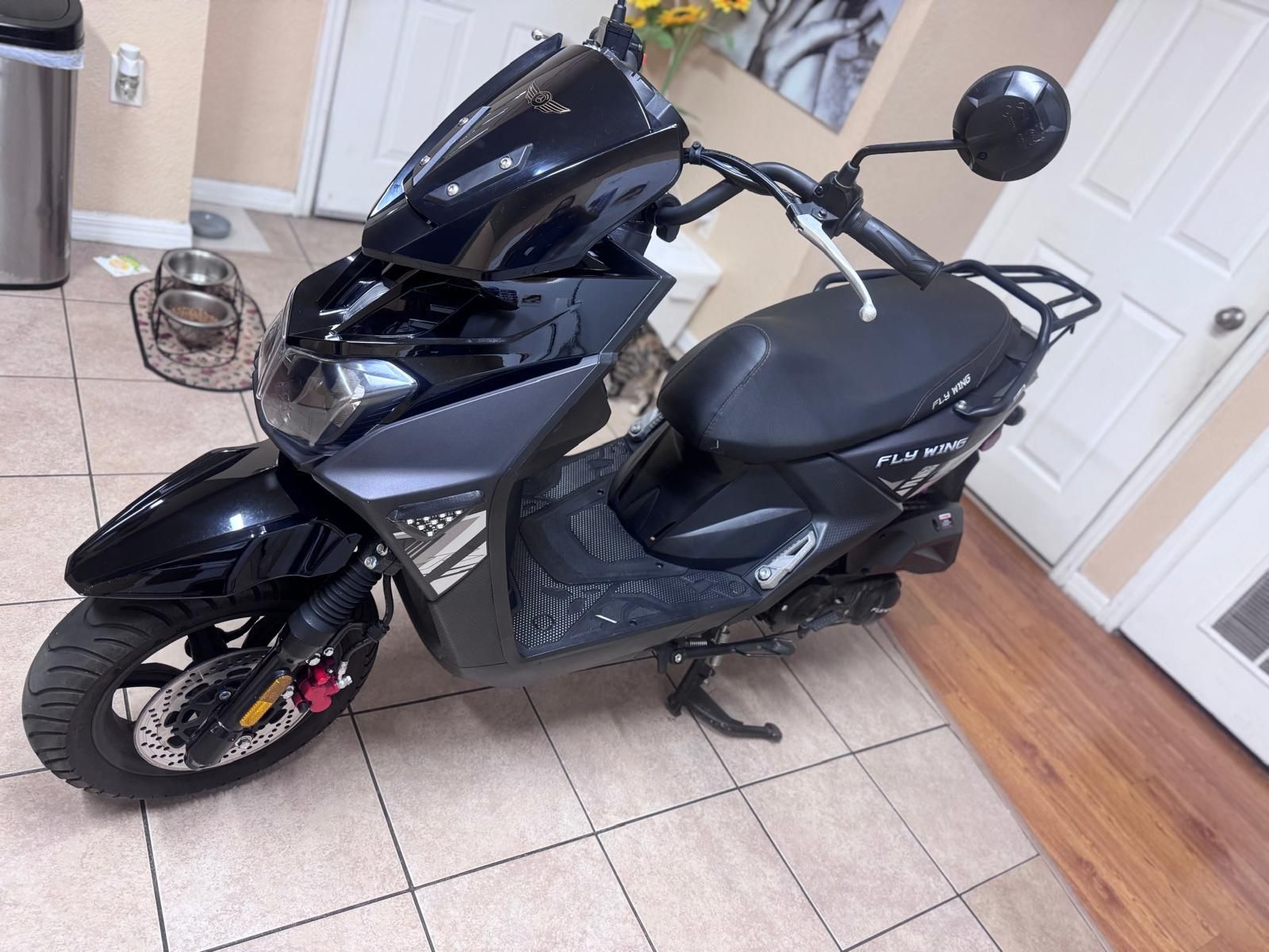 2024 fly wing motor 150