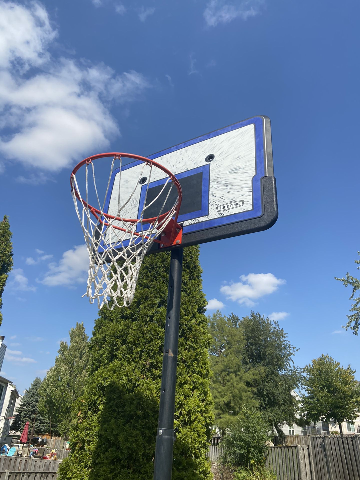 Lifetime 44" Pro Court Height-Adjustable Portable Basketball Hoop