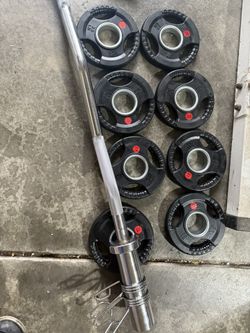 Weights Olympic Curl Bar Set