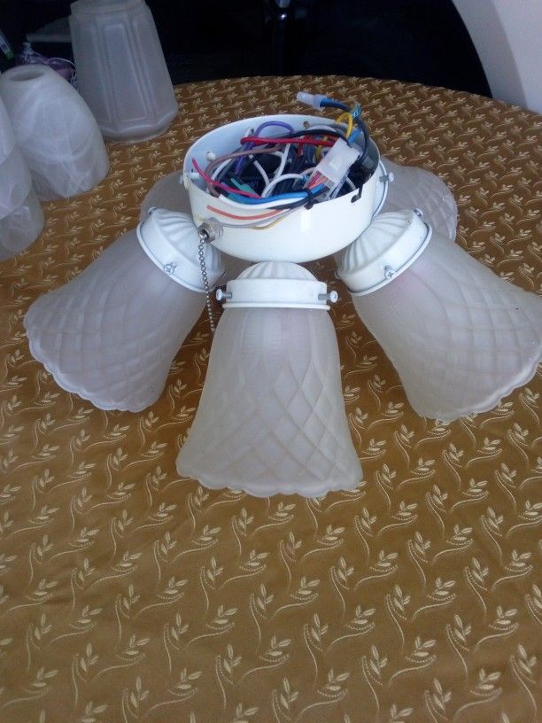 Ceiling Fan Light Fixture