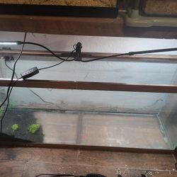 55 Gal Tank