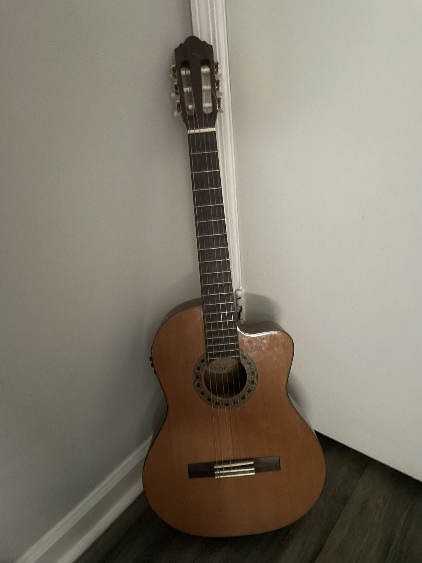 Acoustic electric Guitar