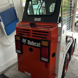 Bobcat