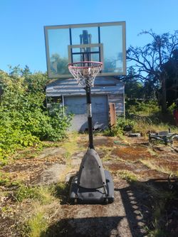 Free basketball hoop