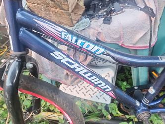 Schwinn. falcon 20" bike