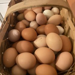 Organic And fresh eggs 