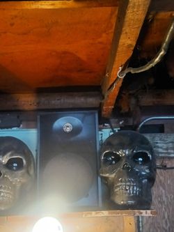 Halloween Skulls