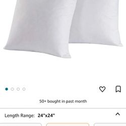 24x24 Throw Pillow Inserts