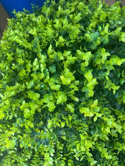 Beautiful faux boxwood plant panels