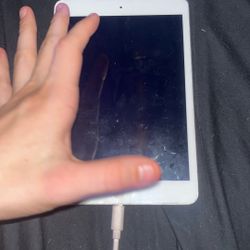 iPad 