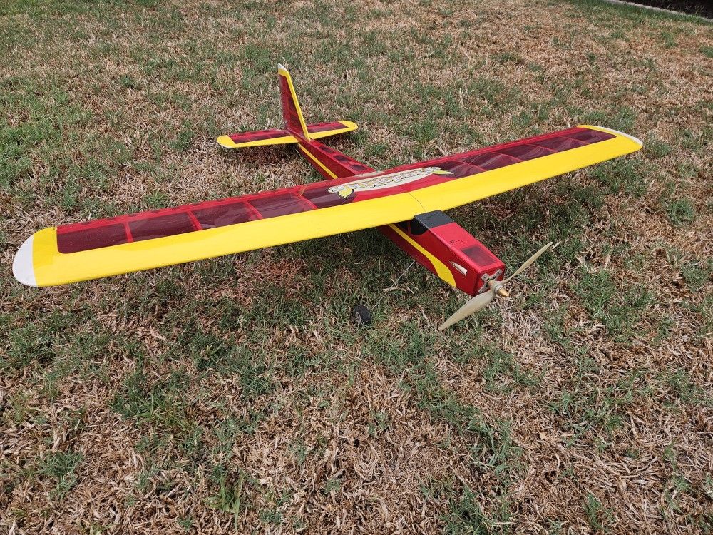 Fledgling Electric Plane